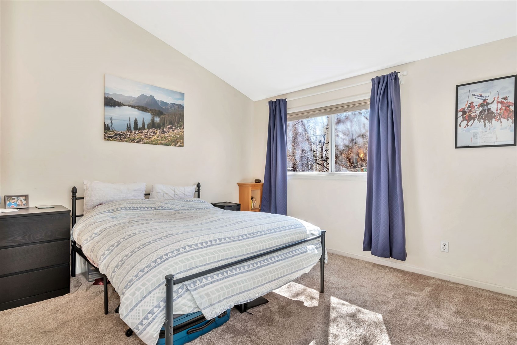 23035 Schussmark Trail Oak Creek CO 80467