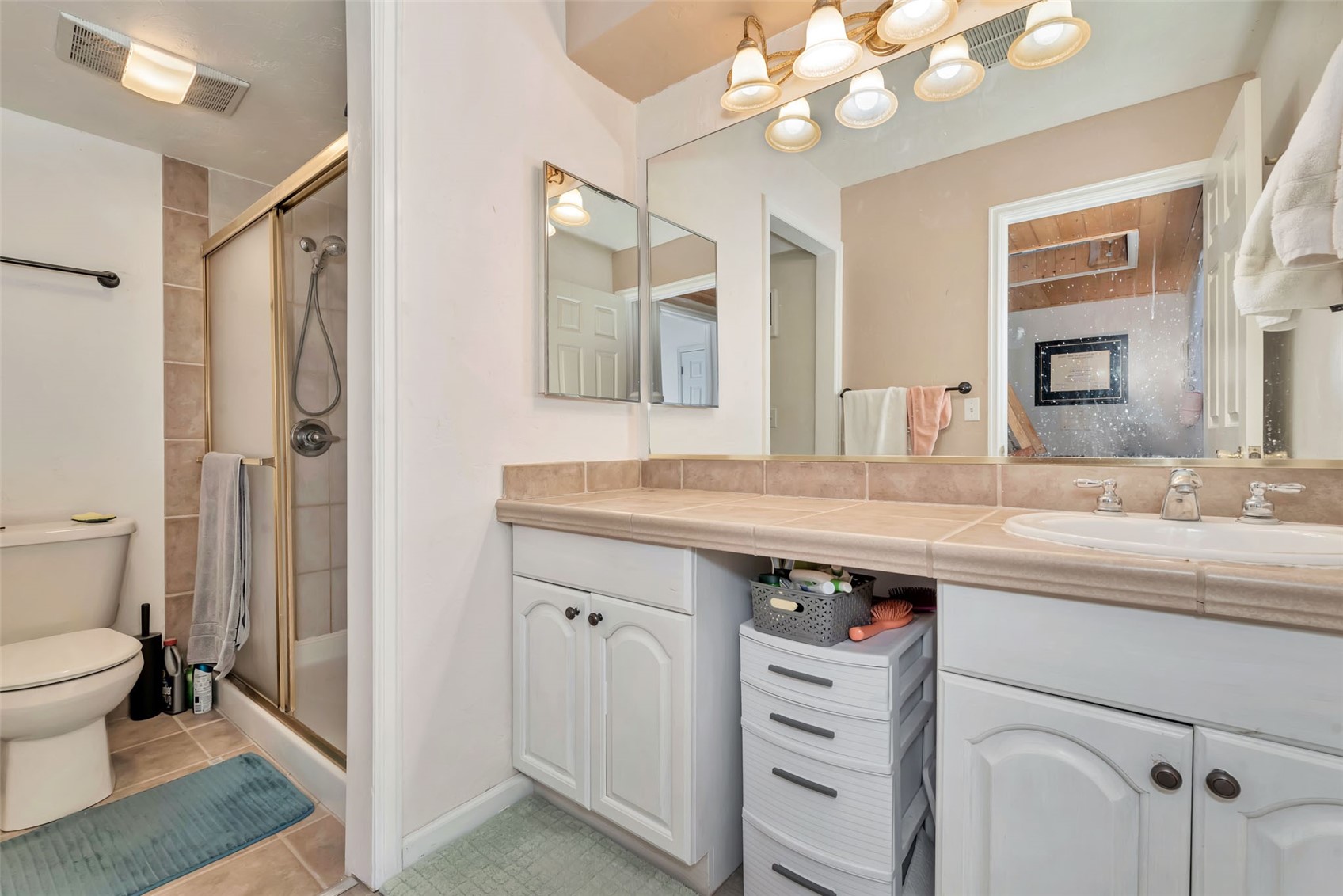 23035 Schussmark Trail Oak Creek CO 80467