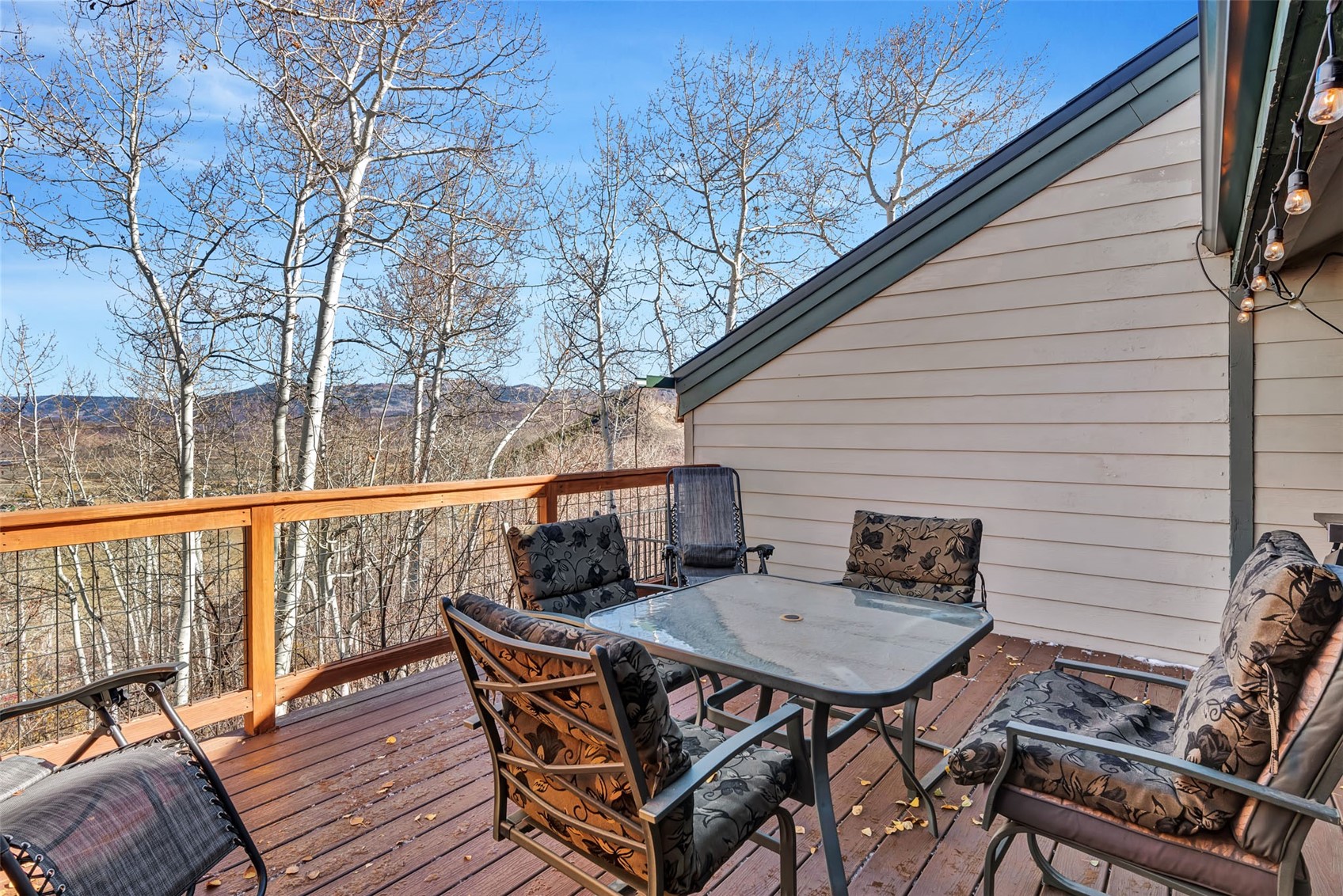23035 Schussmark Trail Oak Creek CO 80467