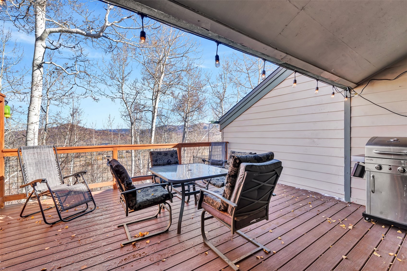 23035 Schussmark Trail Oak Creek CO 80467