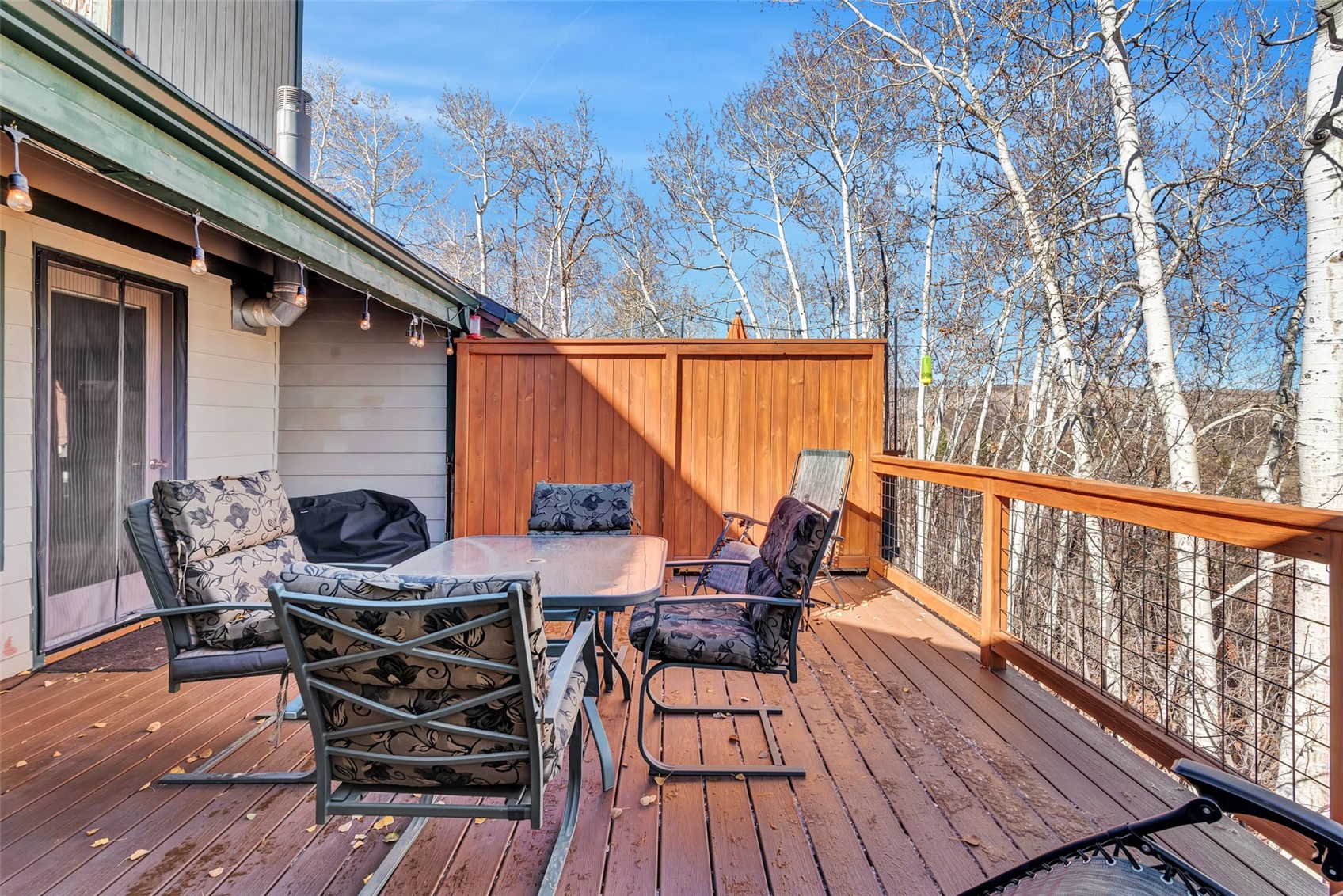 23035 Schussmark Trail Oak Creek CO 80467