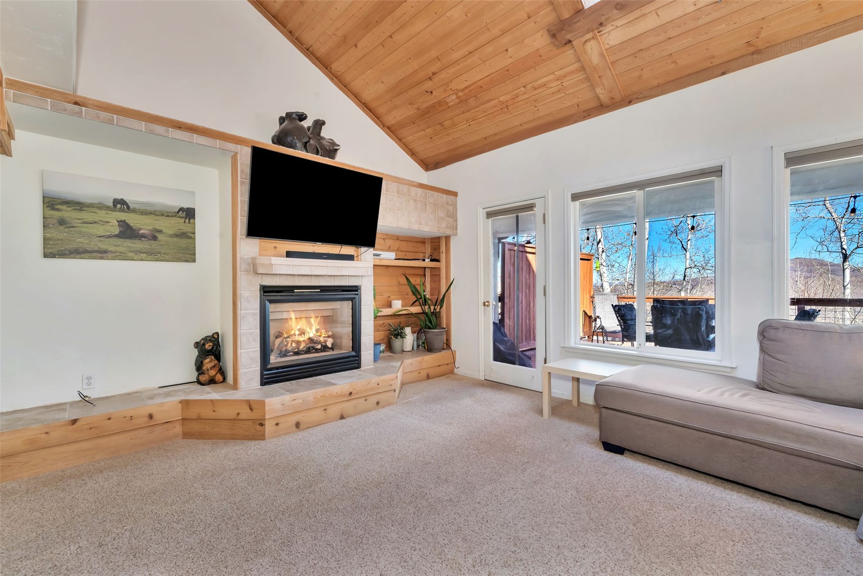 23035 Schussmark Trail Oak Creek CO 80467