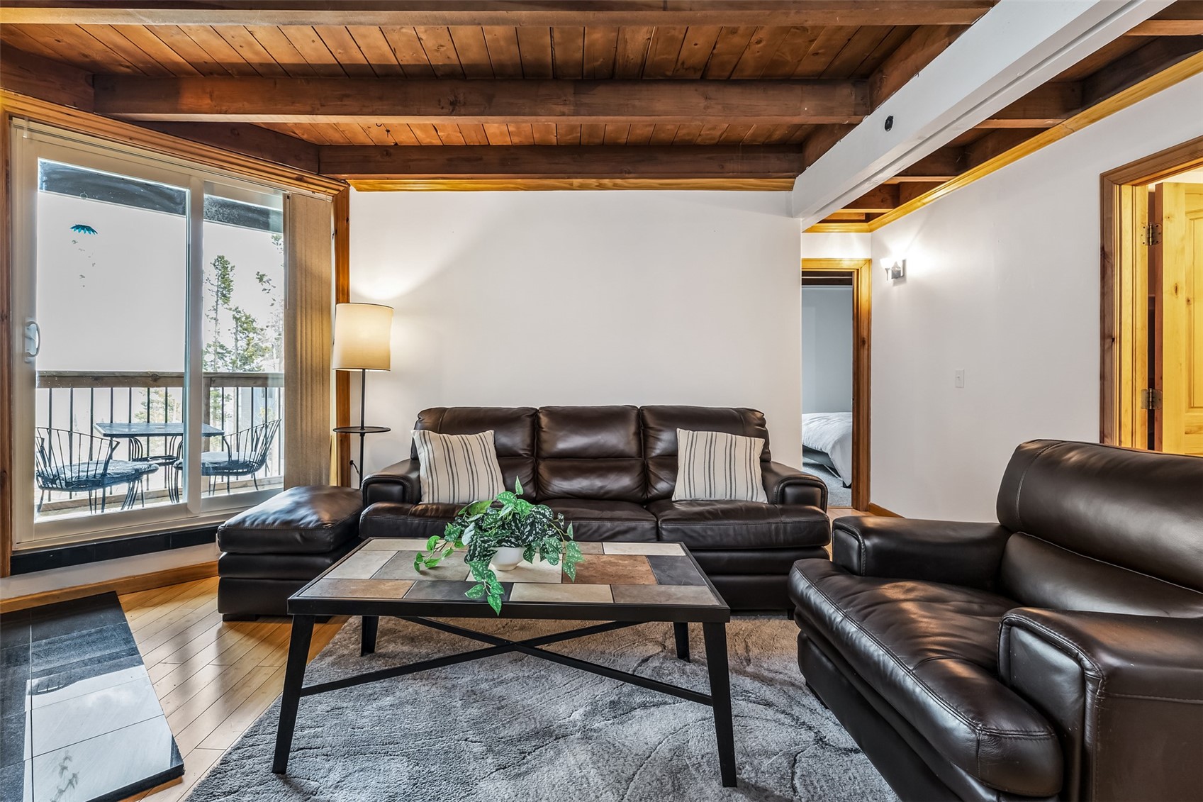 2300 Lodge Pole Circle Silverthorne CO 80498