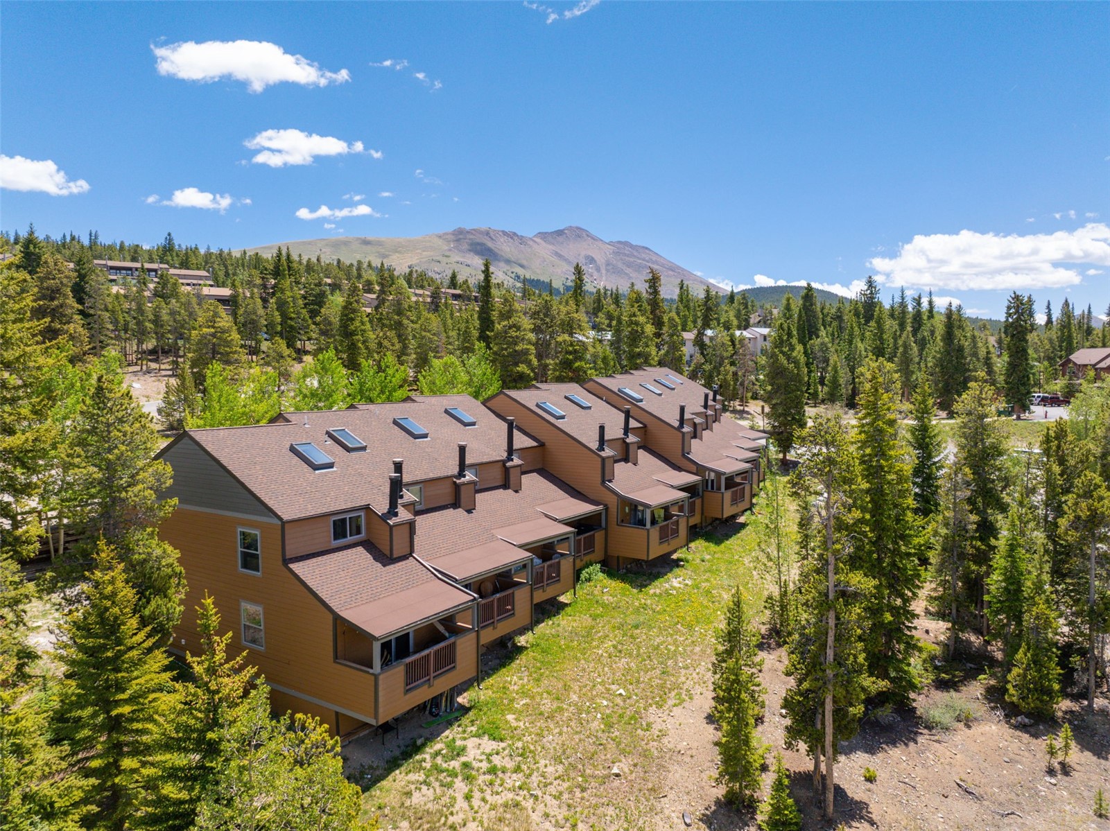 1014 Atlantic Lode Road Breckenridge CO 80424