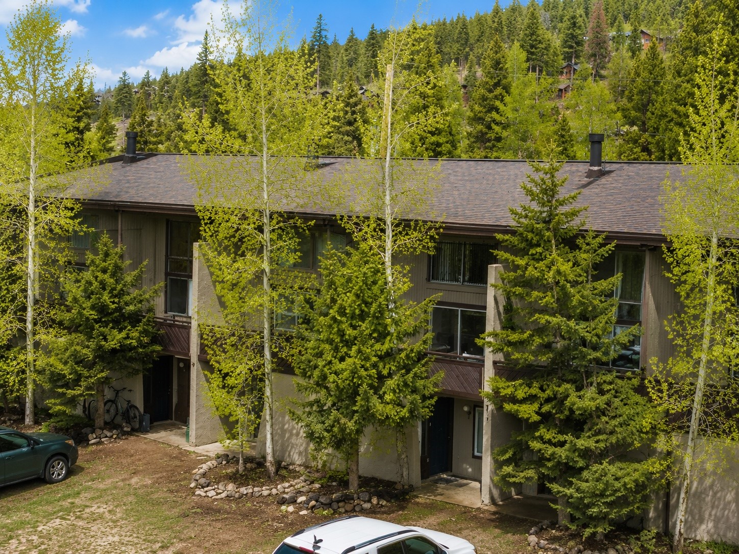 163 High Tor Road Breckenridge CO 80424