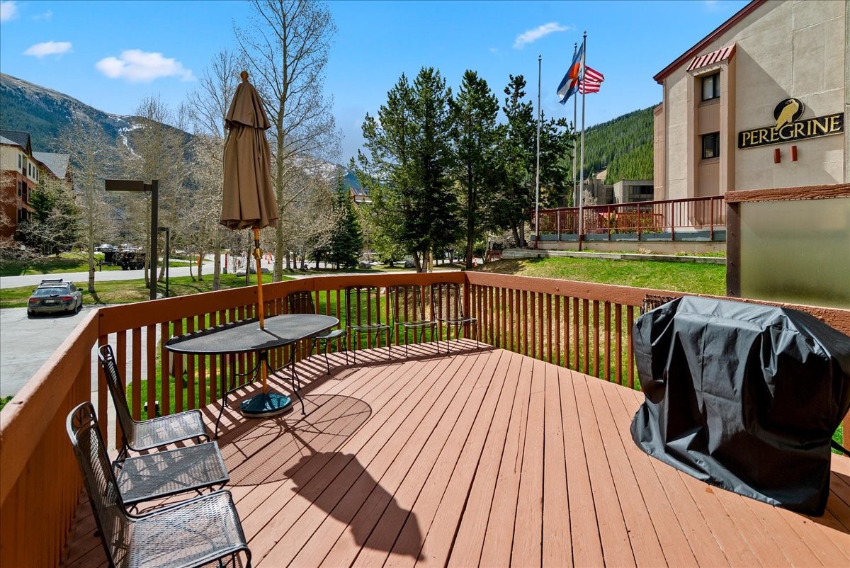 35 Wheeler Place Copper Mountain CO 80443