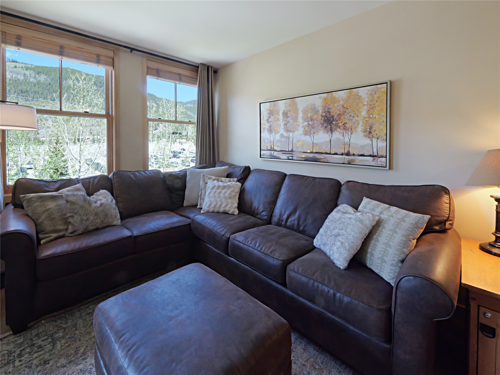 140 Ida Belle Drive Keystone CO 80435