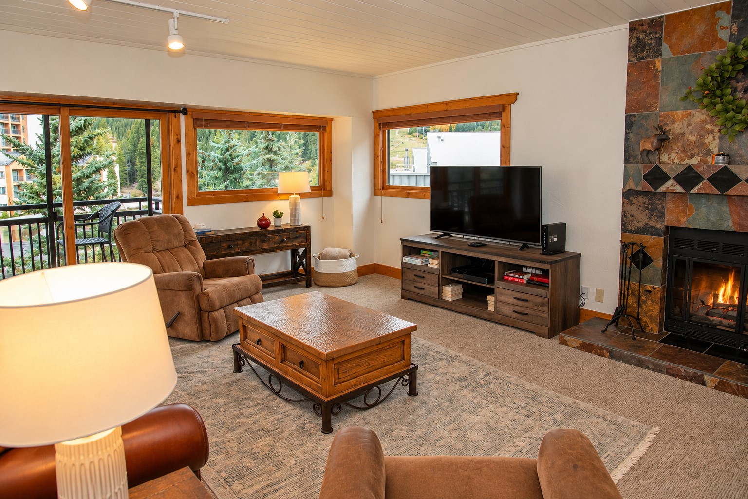 655 S Park Avenue Breckenridge CO 80424