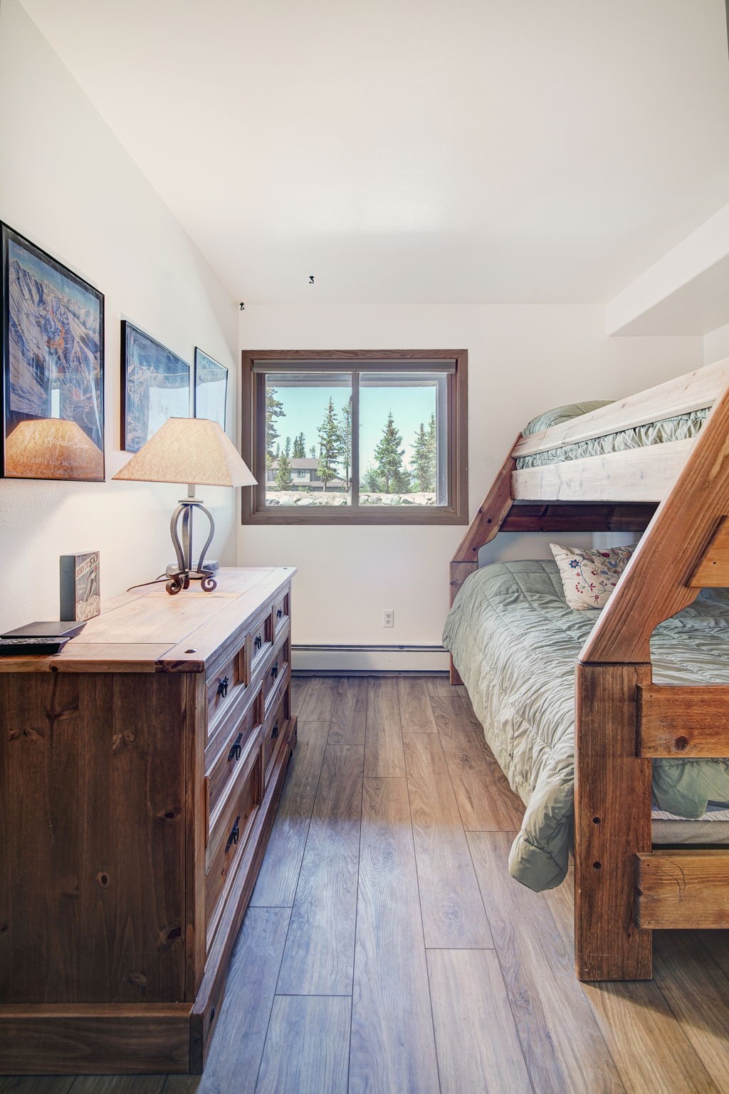 95600 Ryan Gulch Road Wildernest CO 80498