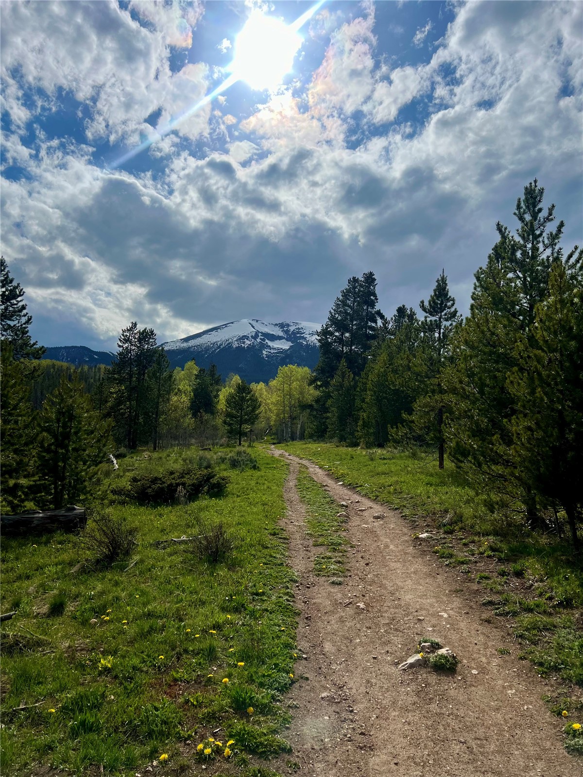 95600 Ryan Gulch Road Wildernest CO 80498