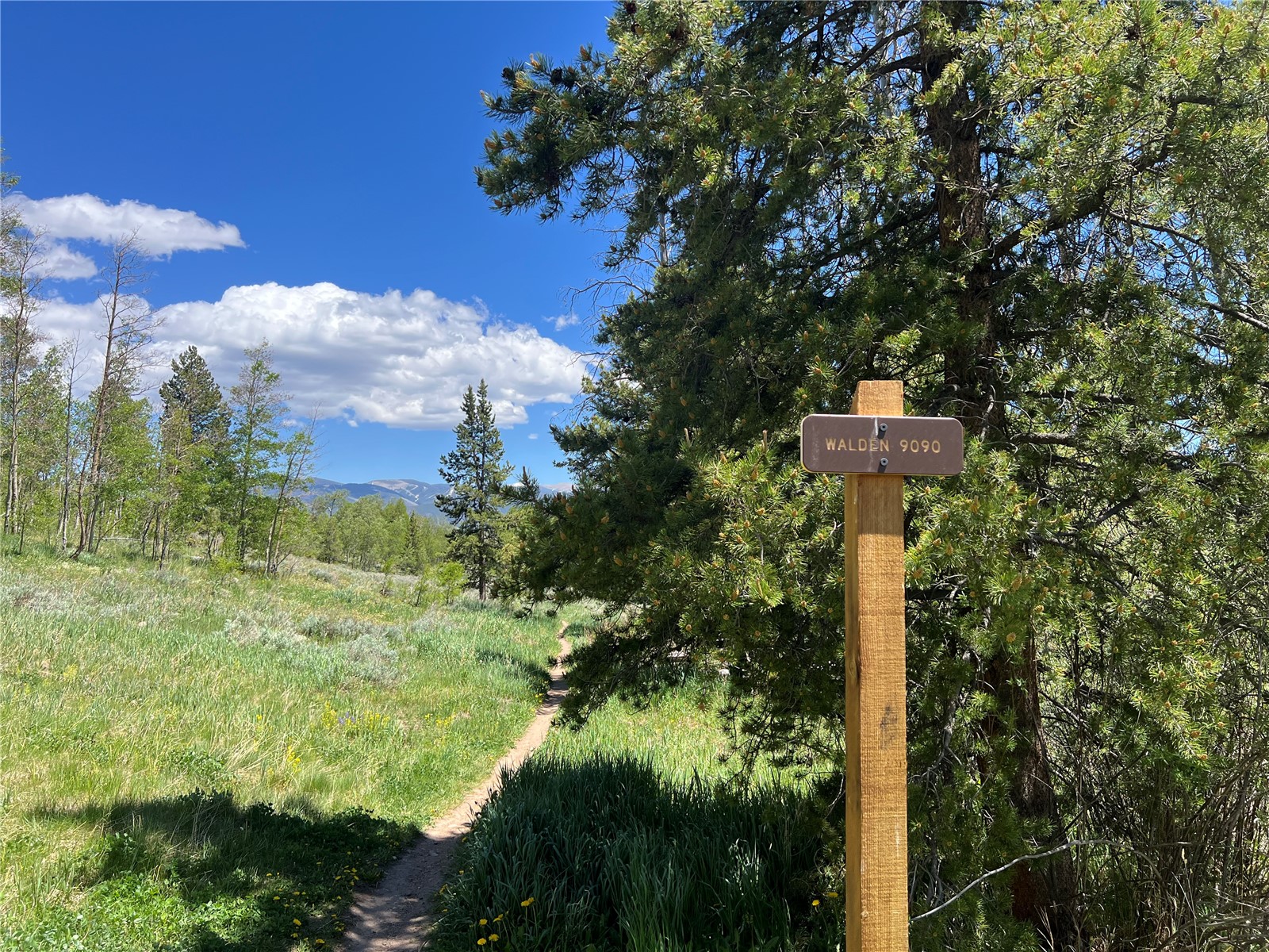 95600 Ryan Gulch Road Wildernest CO 80498