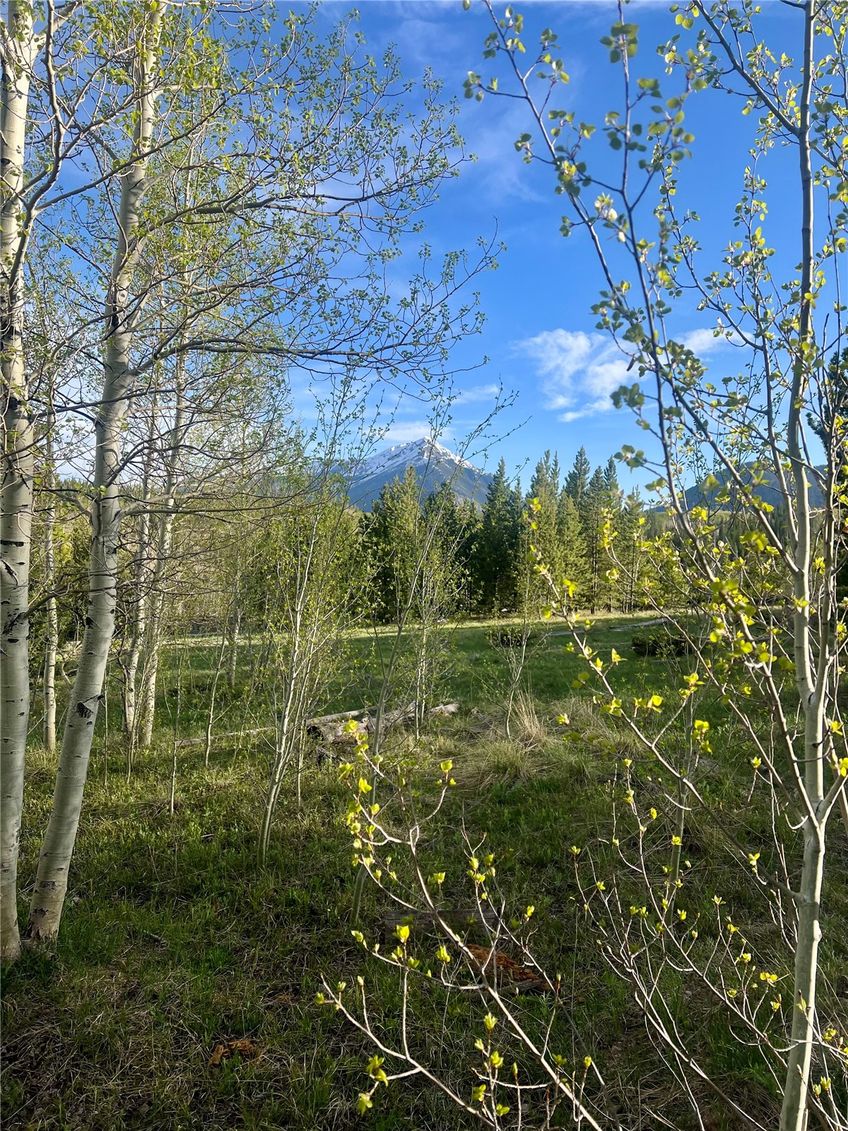 95600 Ryan Gulch Road Wildernest CO 80498
