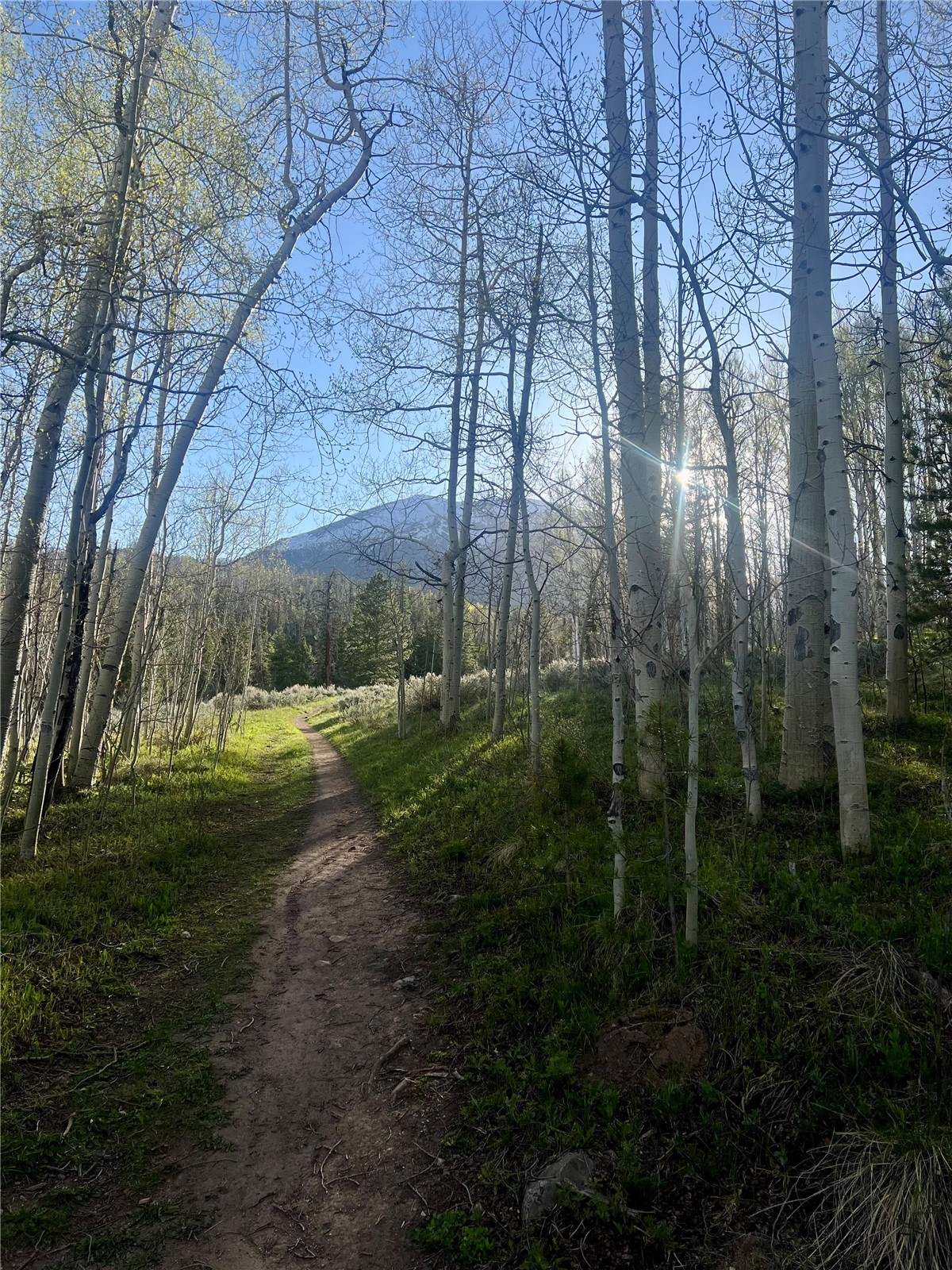 95600 Ryan Gulch Road Wildernest CO 80498