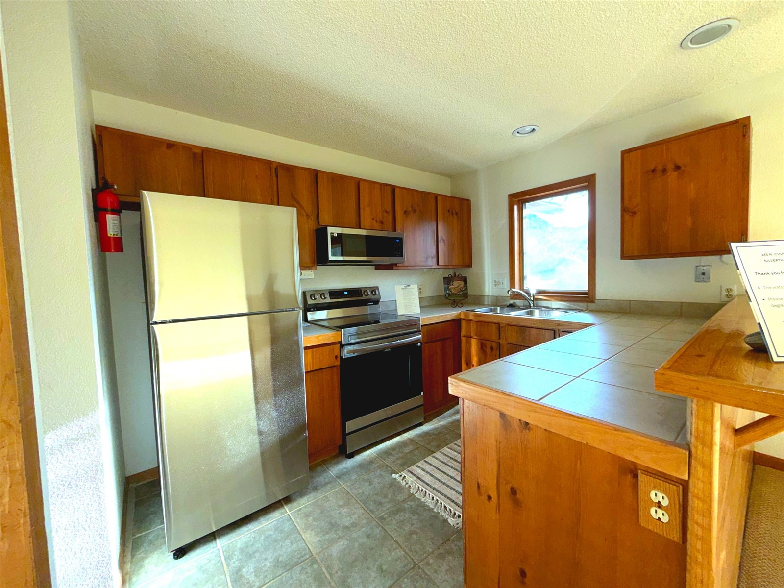 345 N Chipmunk Circle Silverthorne CO 80498