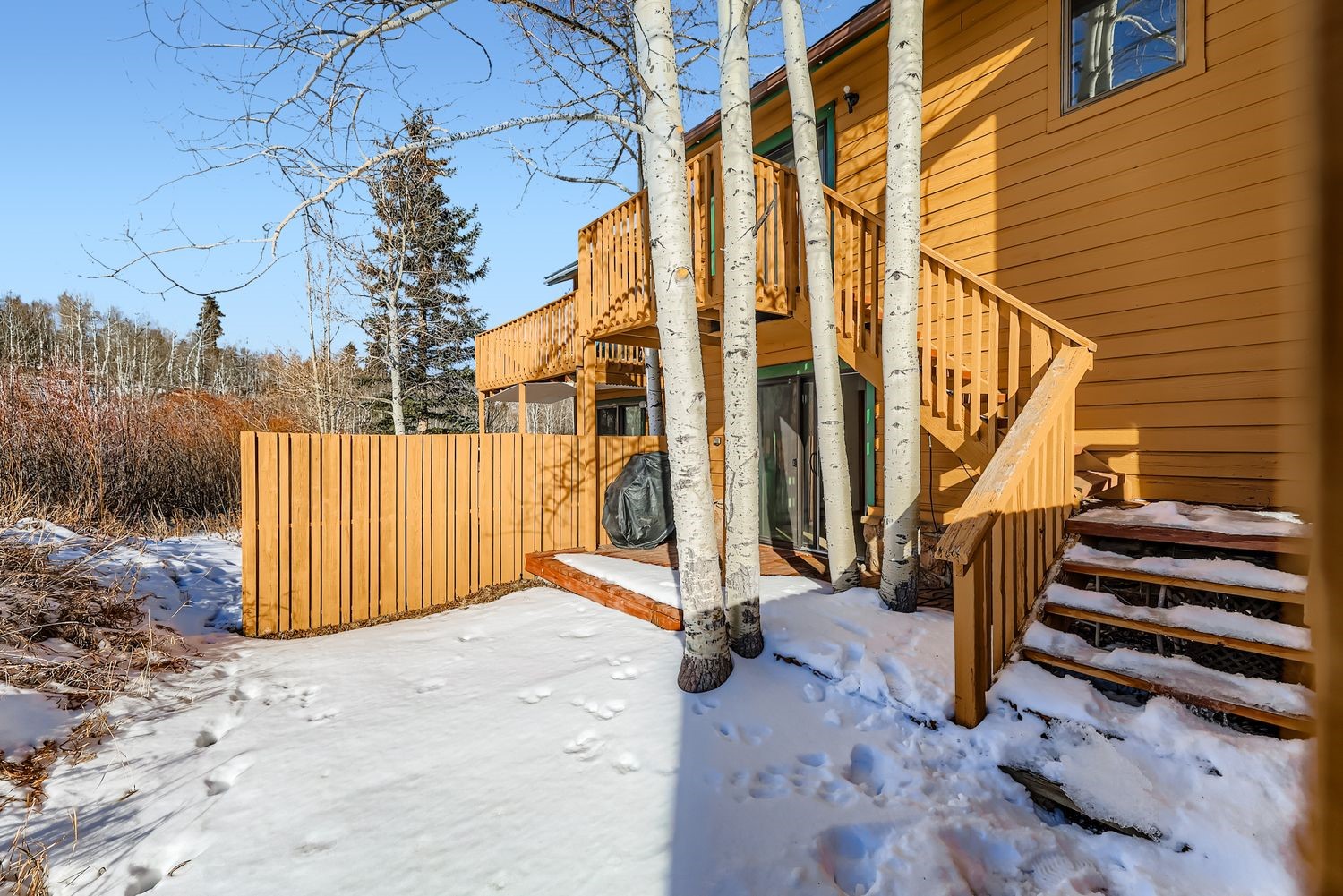 345 N Chipmunk Circle Silverthorne CO 80498