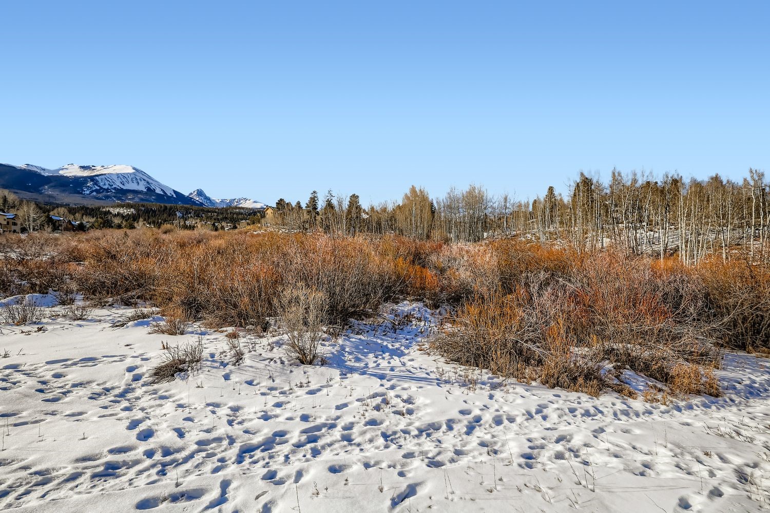 345 N Chipmunk Circle Silverthorne CO 80498