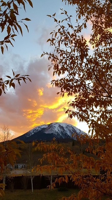 345 N Chipmunk Circle Silverthorne CO 80498