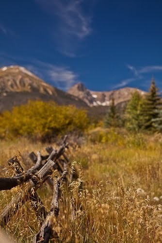 345 N Chipmunk Circle Silverthorne CO 80498