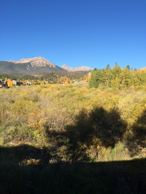 345 N Chipmunk Circle Silverthorne CO 80498