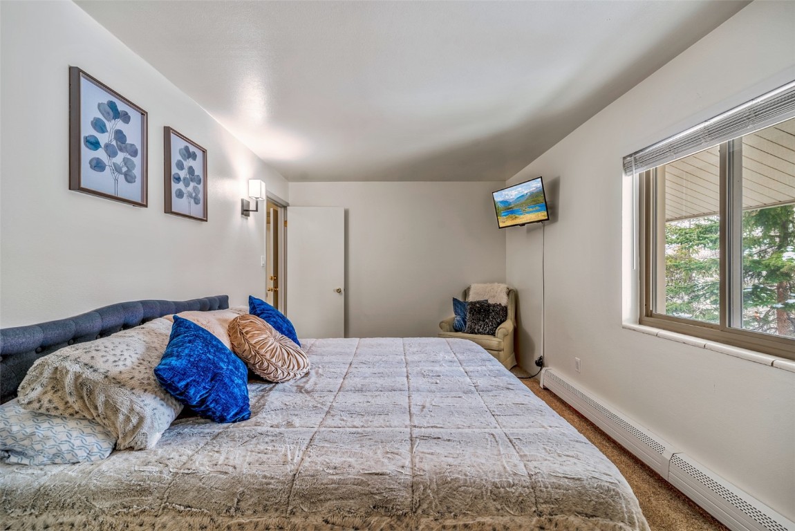 370 E La Bonte Street Dillon CO 80435