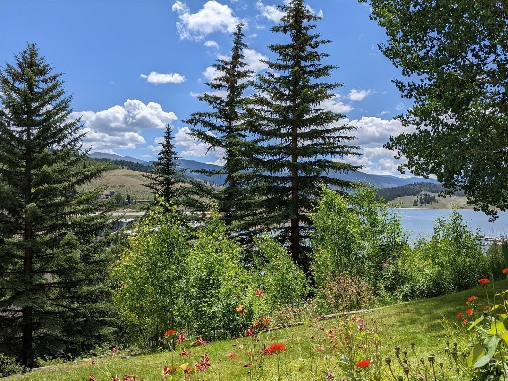 370 E La Bonte Street Dillon CO 80435
