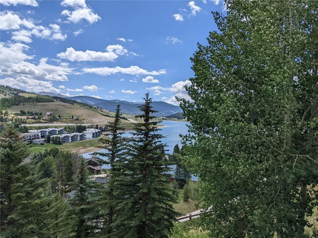 370 E La Bonte Street Dillon CO 80435