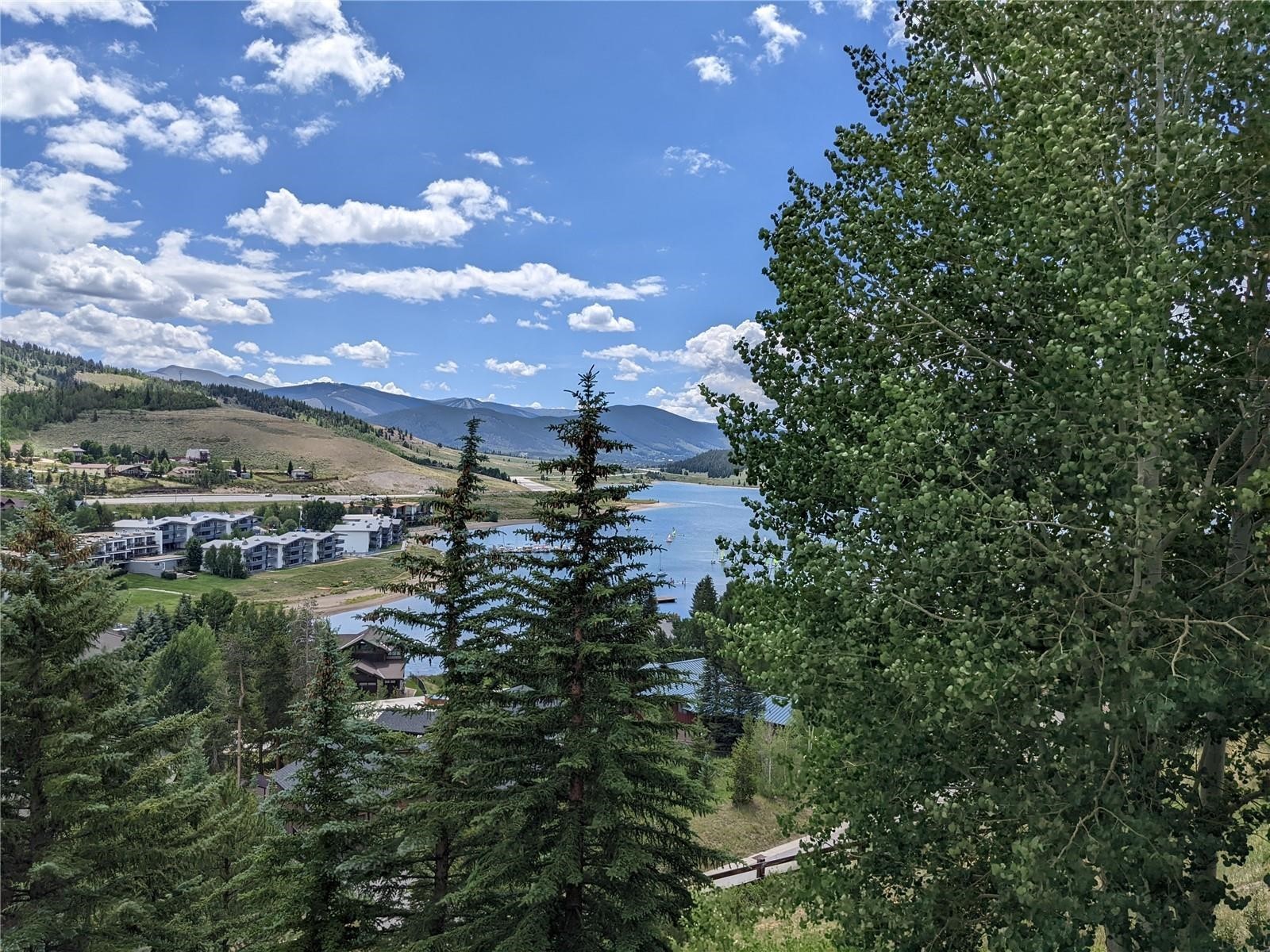 370 E La Bonte Street Dillon CO 80435