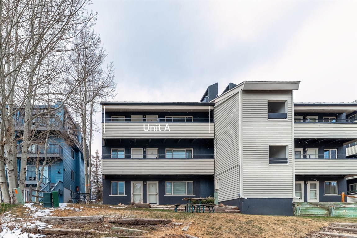 370 E La Bonte Street Dillon CO 80435