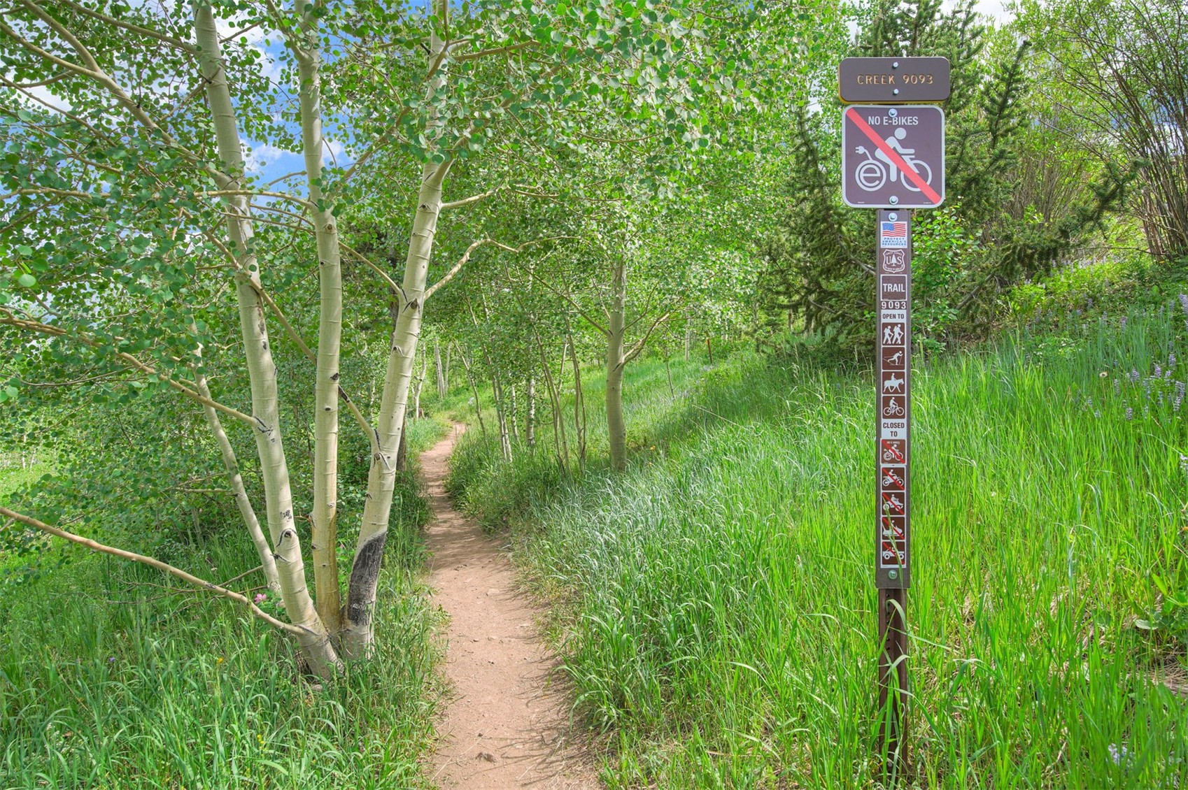 7031 Ryan Gulch Road Silverthorne CO 80498