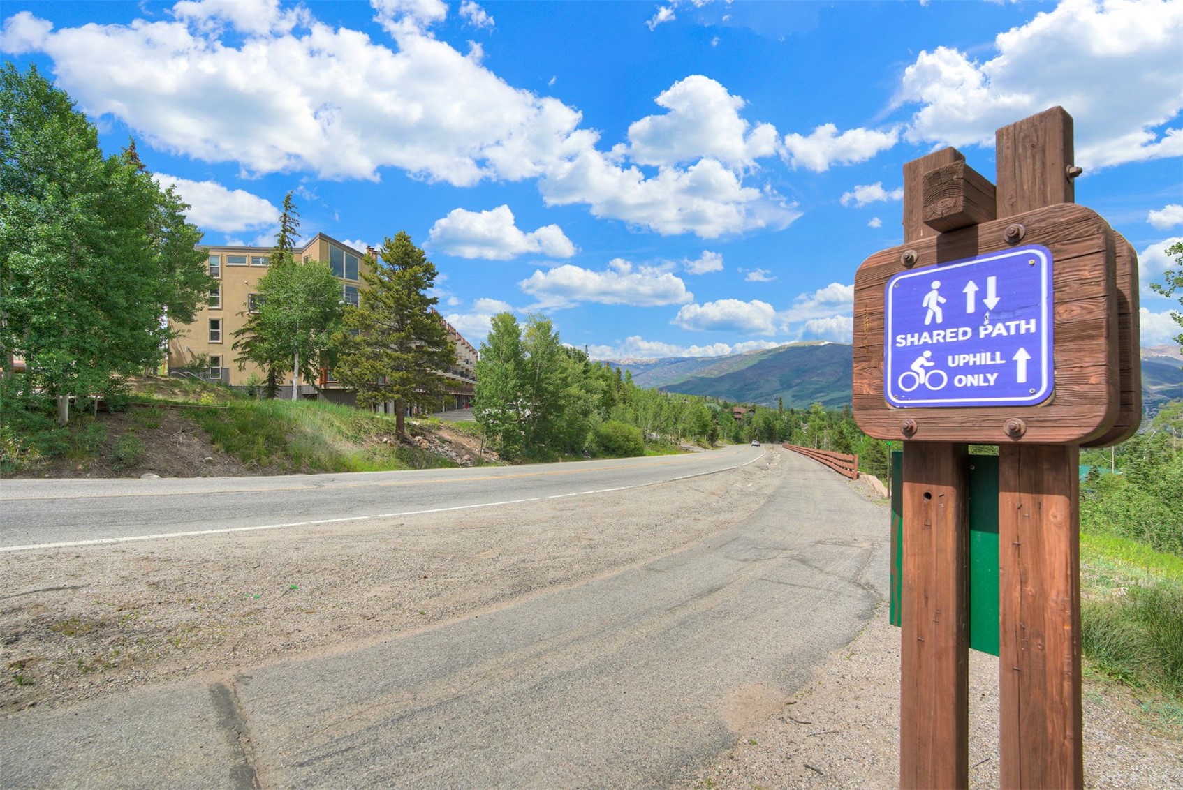 7031 Ryan Gulch Road Silverthorne CO 80498