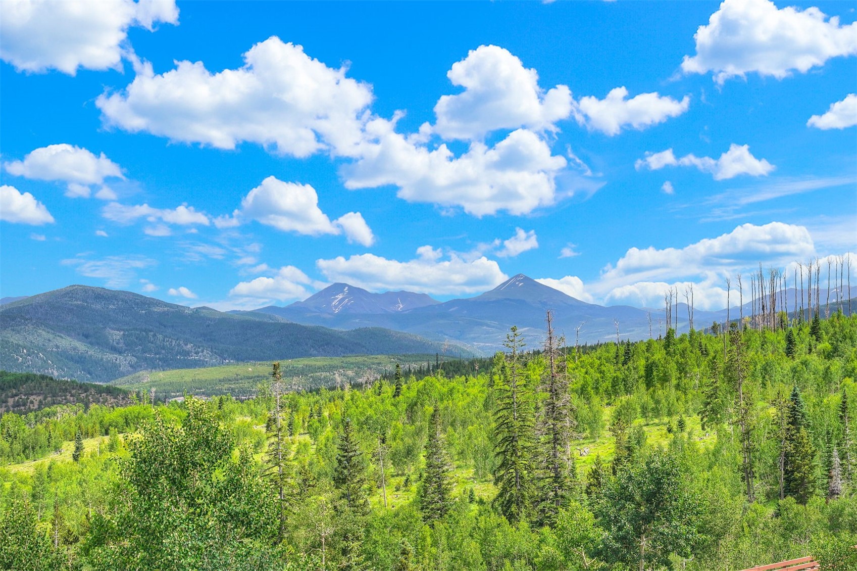 7031 Ryan Gulch Road Silverthorne CO 80498