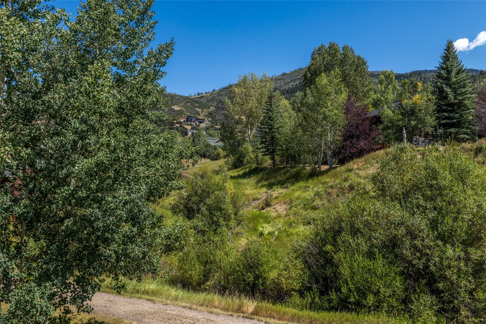 1880 Hunters Drive Steamboat Springs CO 80487