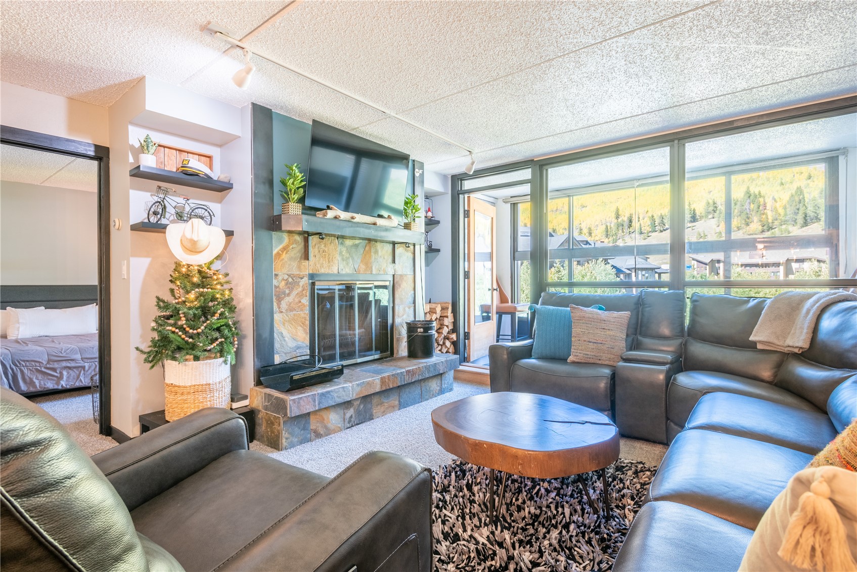 Copper Mountain CO, 209 Ten Mile Circle, Unit 310