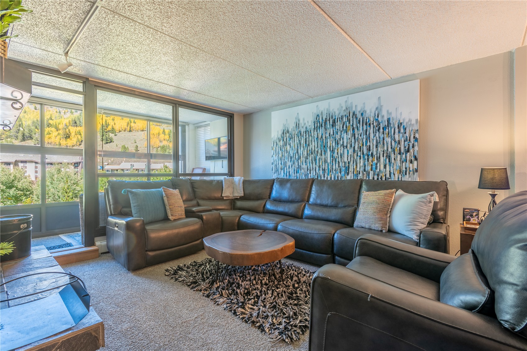 209 Ten Mile Circle Copper Mountain CO 80443