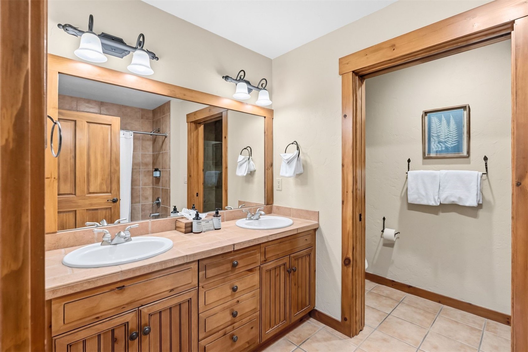 35 Mountain Thunder Drive Breckenridge CO 80424