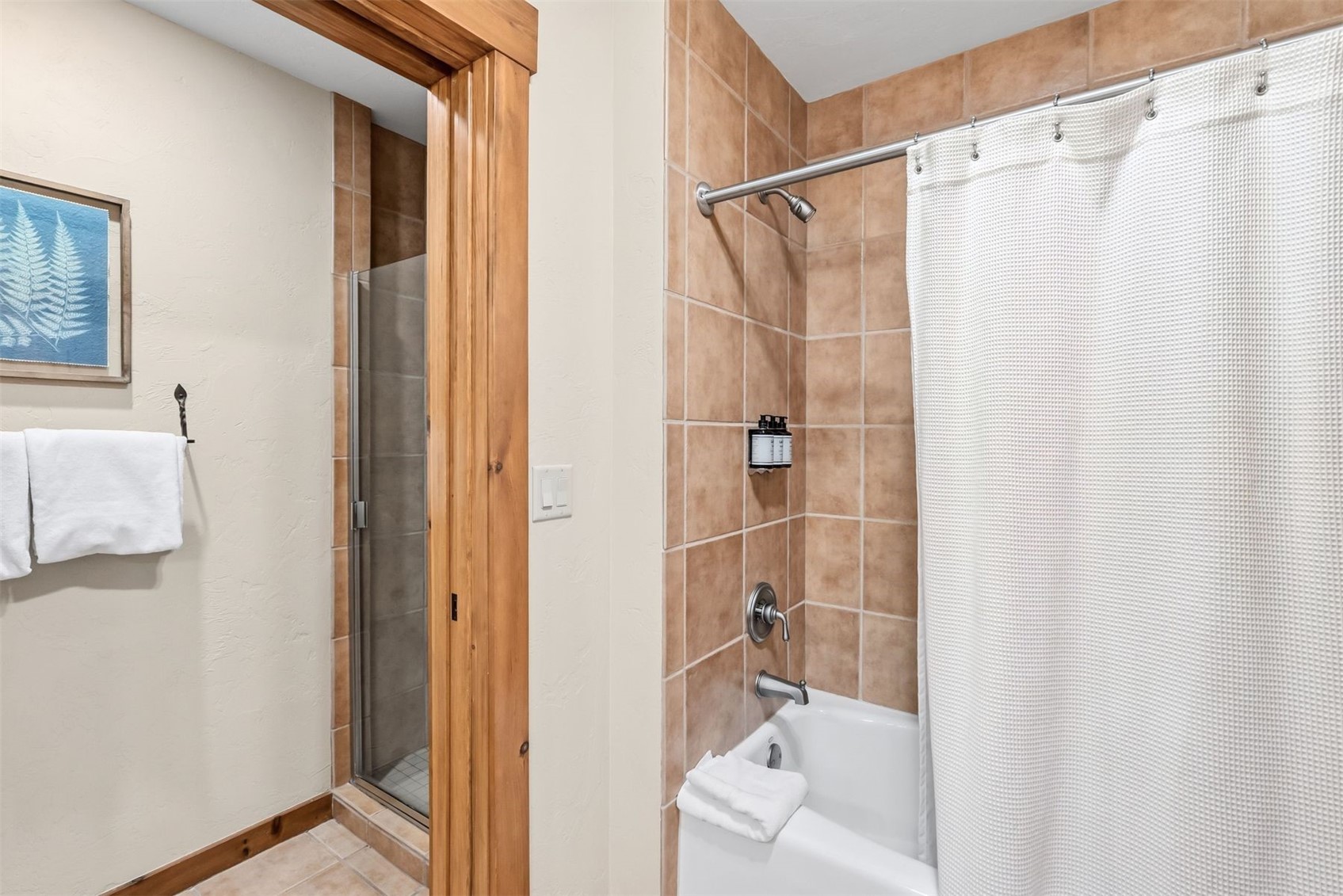 35 Mountain Thunder Drive Breckenridge CO 80424