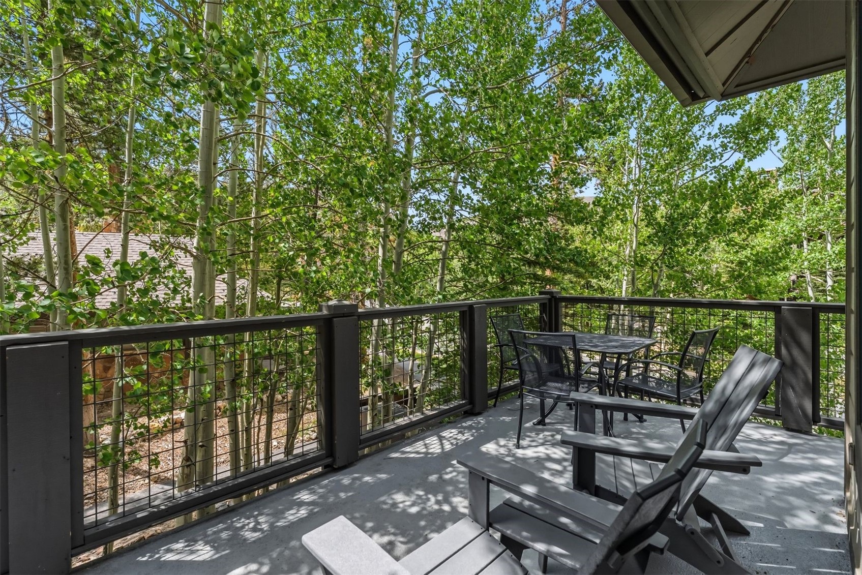 35 Mountain Thunder Drive Breckenridge CO 80424