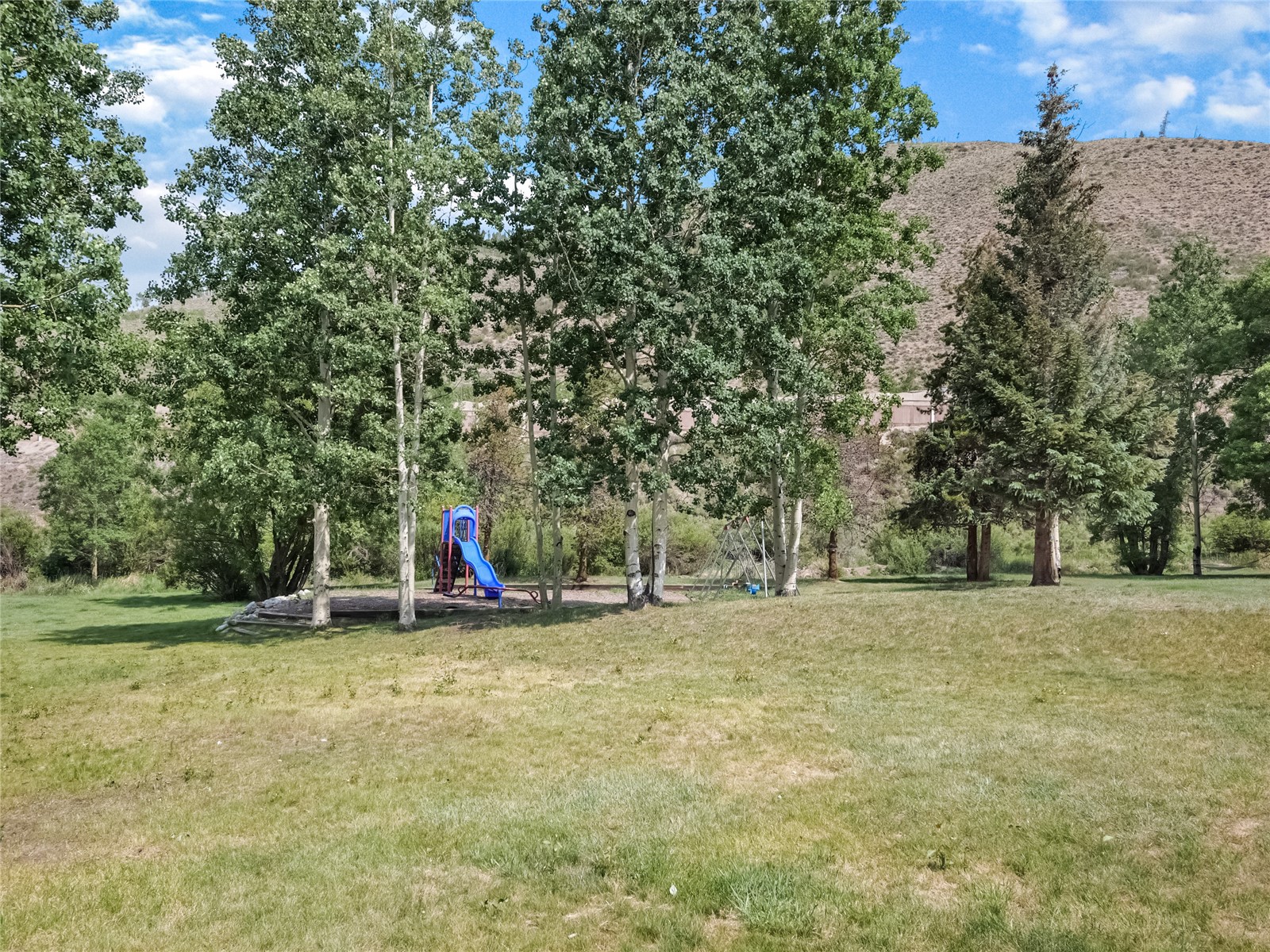 753 Straight Creek Drive Dillon CO 80435