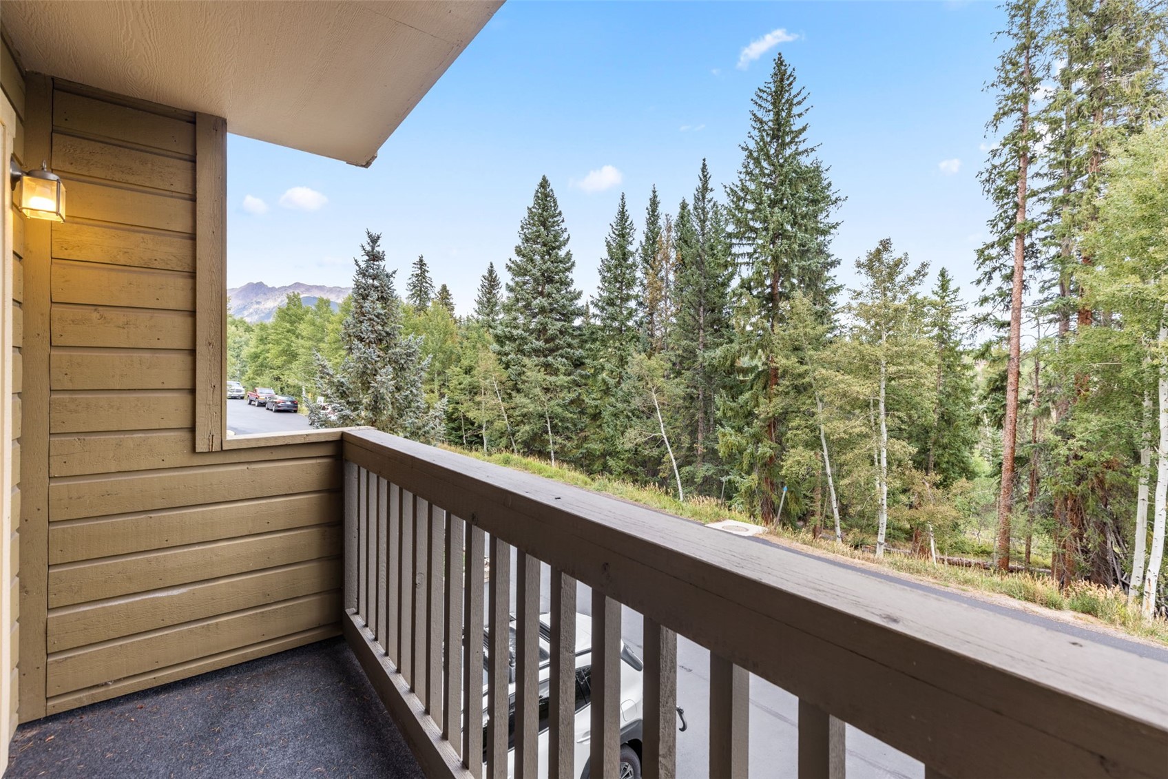 4020 Silverheels Drive Silverthorne CO 80498