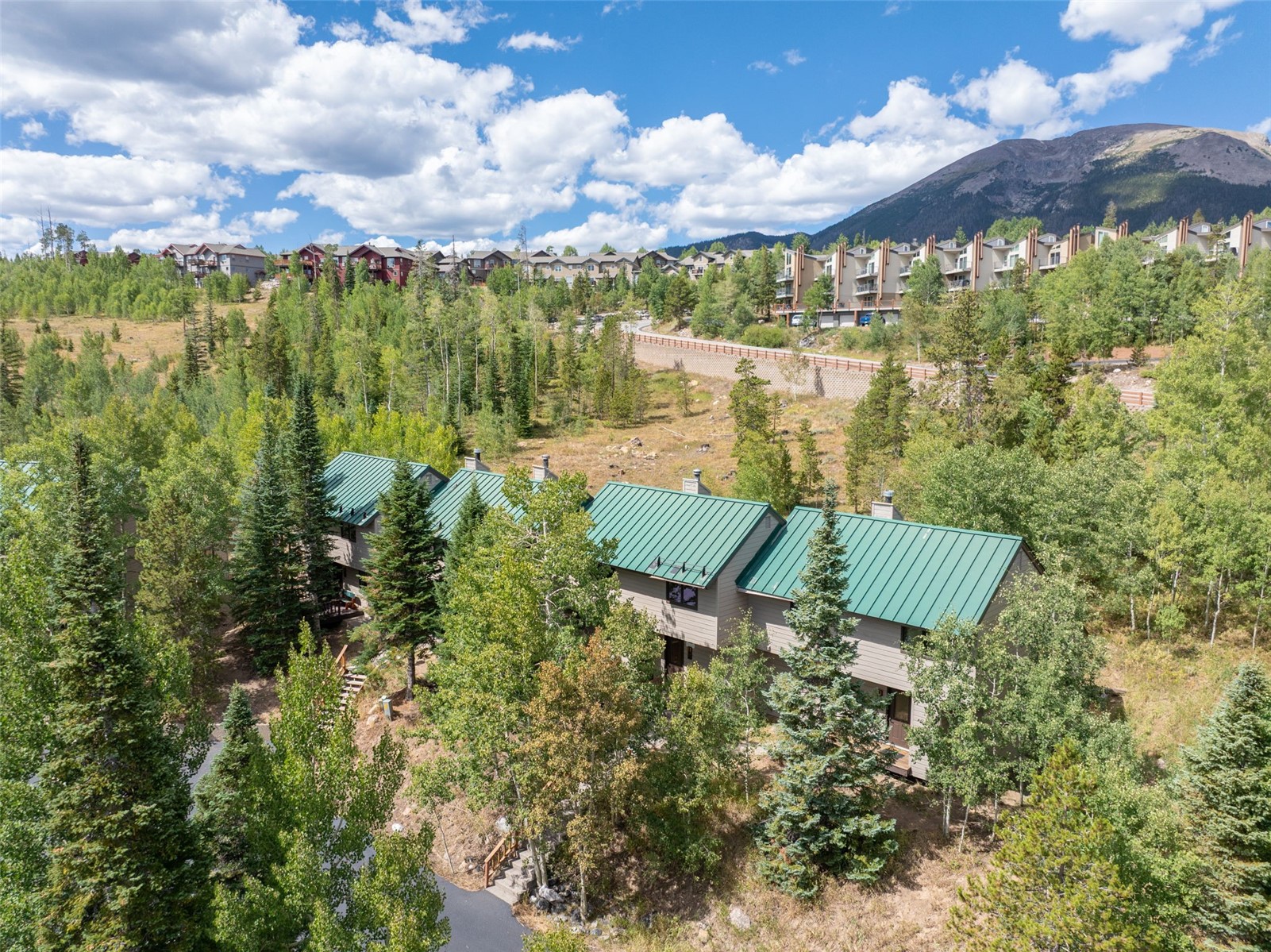 132 Burgundy Circle Silverthorne CO 80498