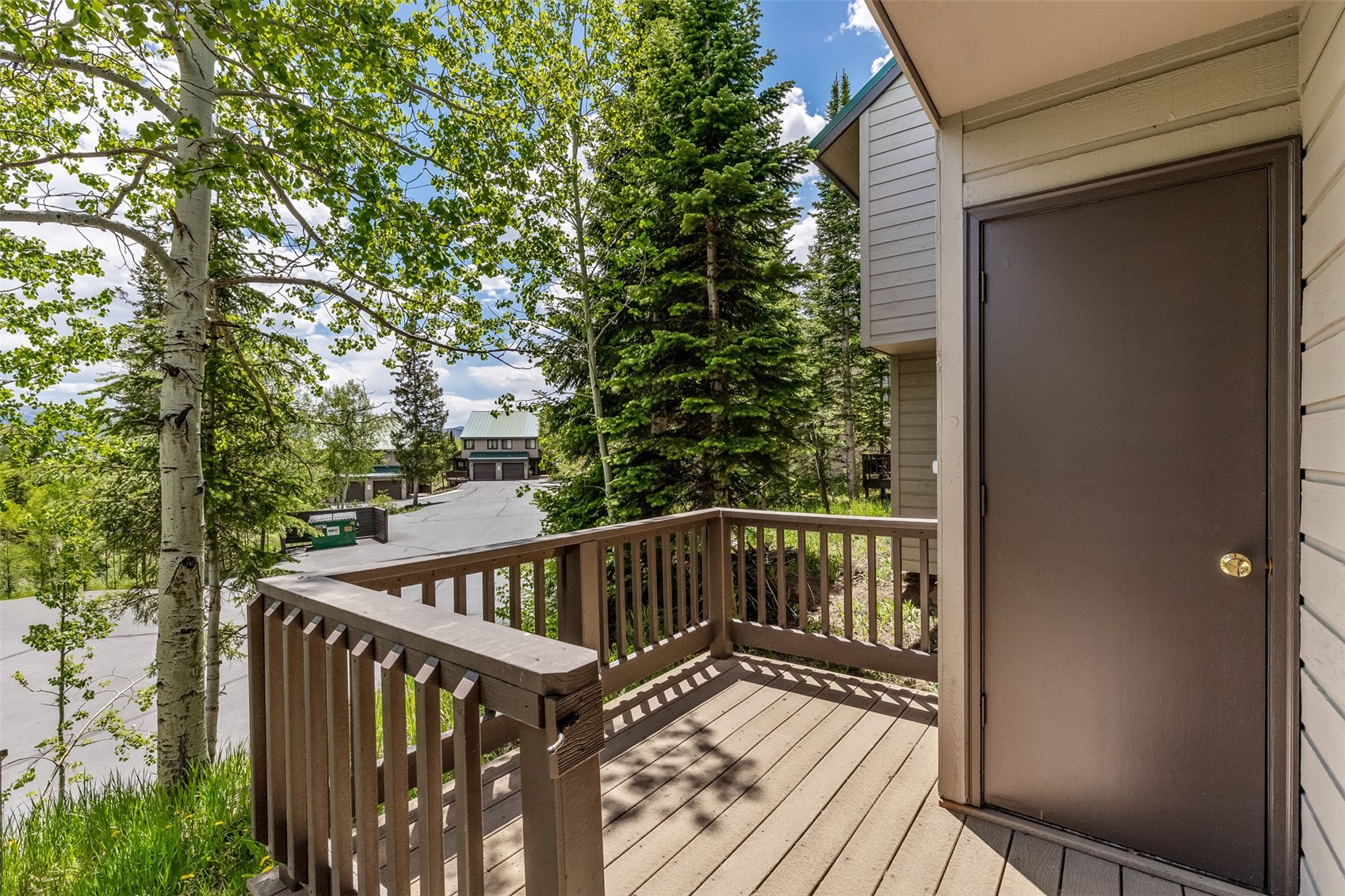 132 Burgundy Circle Silverthorne CO 80498