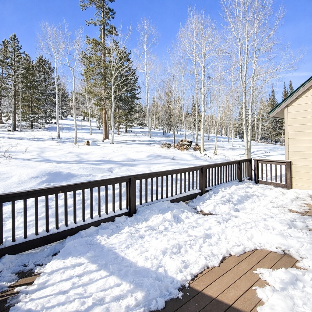 132 Burgundy Circle Silverthorne CO 80498