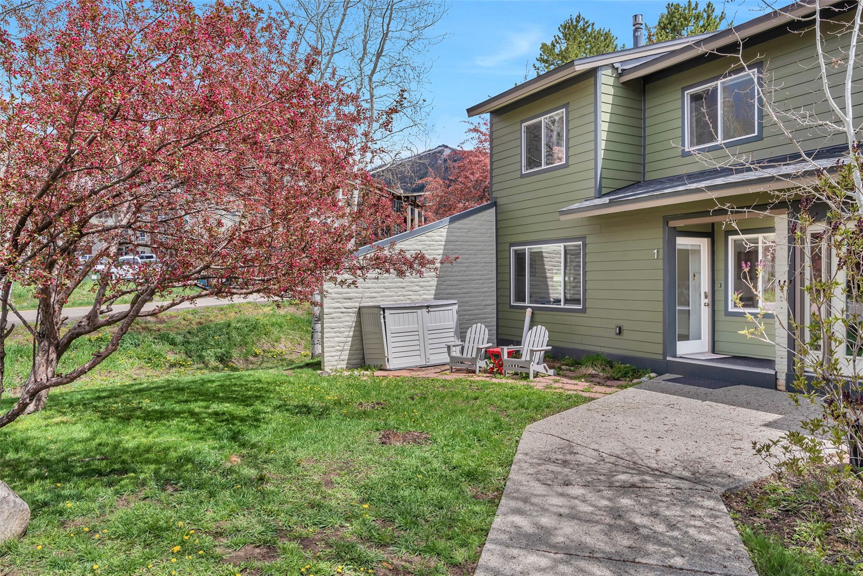1 Cedar Court Steamboat Springs CO 80487