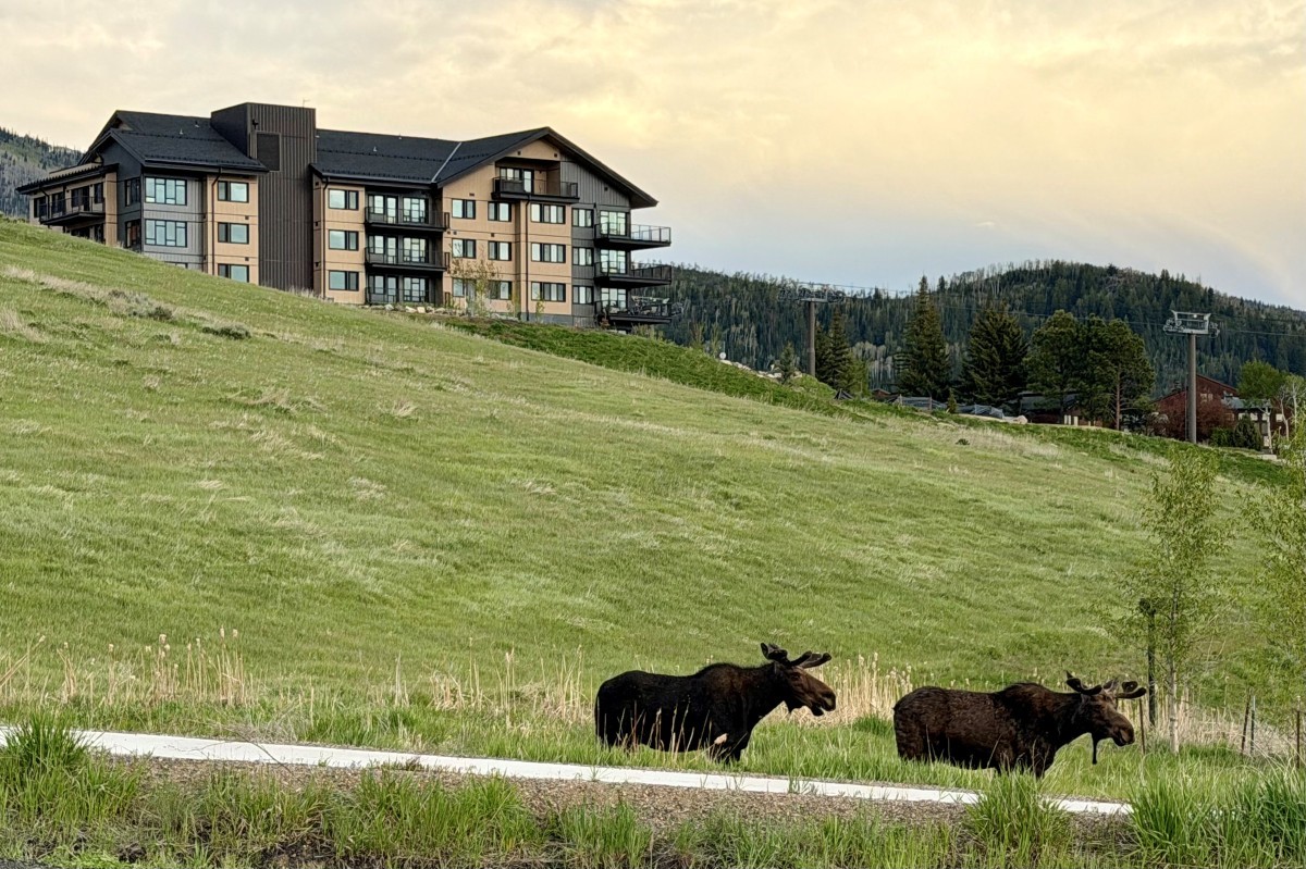 1550 Amble Drive Steamboat Springs CO 80487