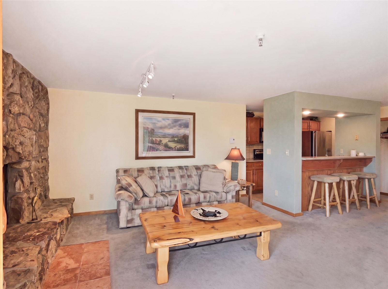 180 E La Bonte Street Dillon CO 80435