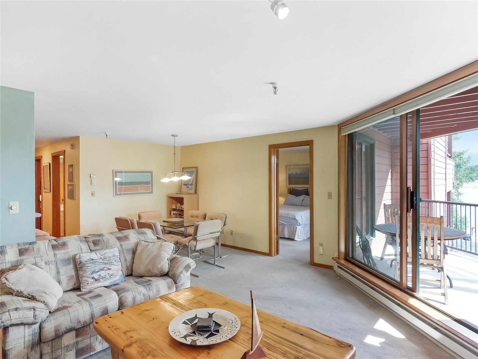 180 E La Bonte Street Dillon CO 80435