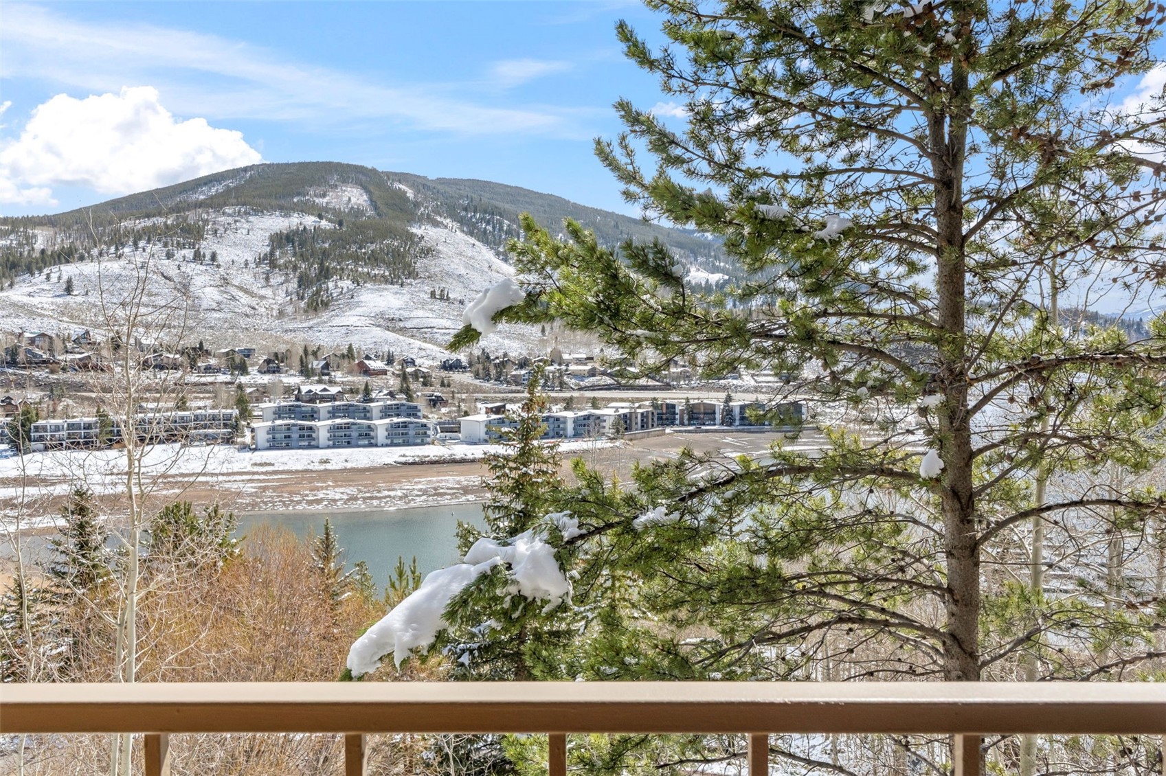220 E La Bonte Street Dillon CO 80435