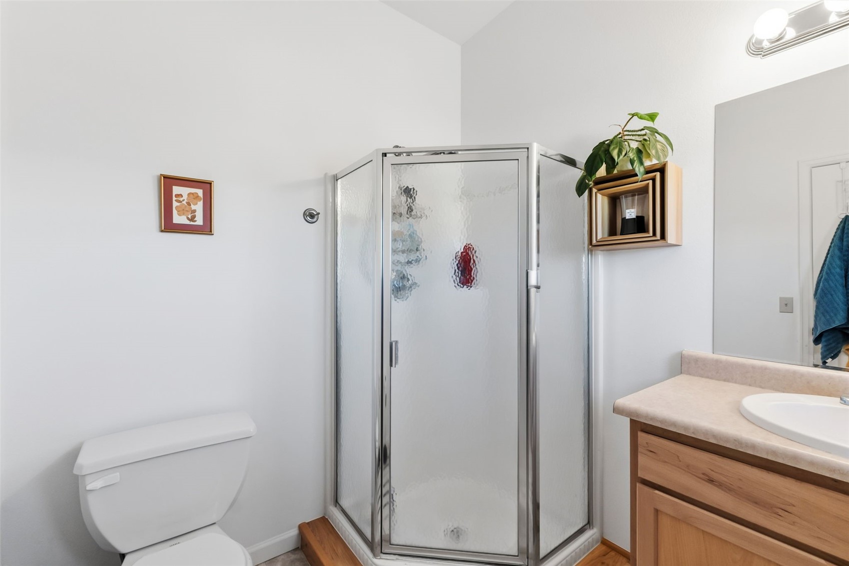 387 8th Street Fairplay CO 80440