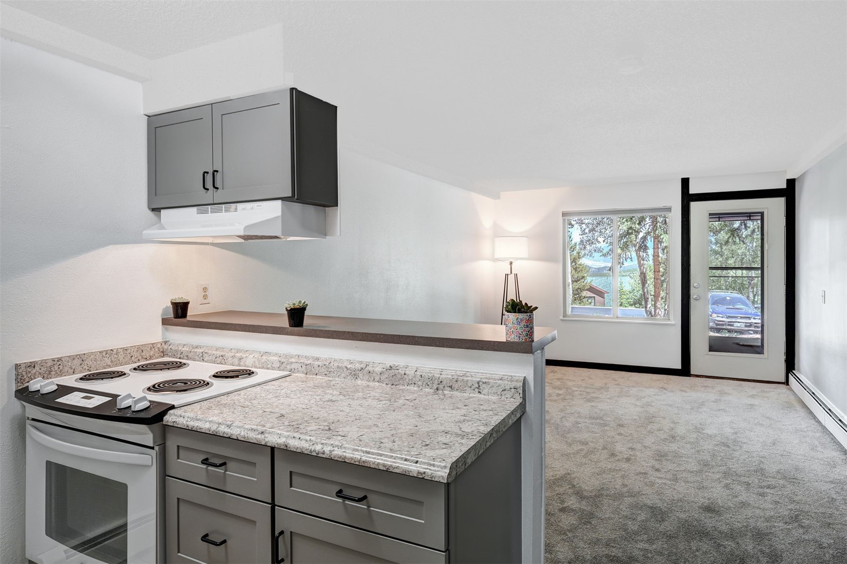 7307 Ryan Gulch Road Silverthorne CO 80498