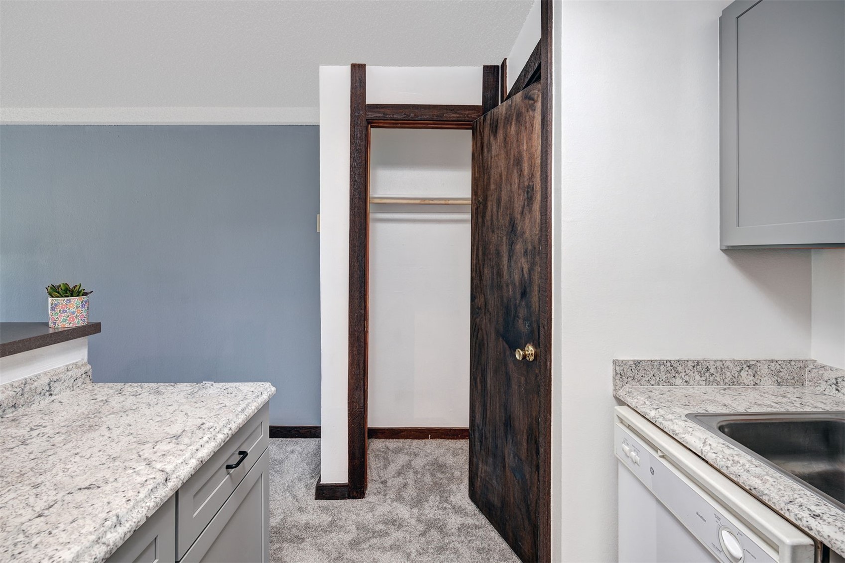 7307 Ryan Gulch Road Silverthorne CO 80498